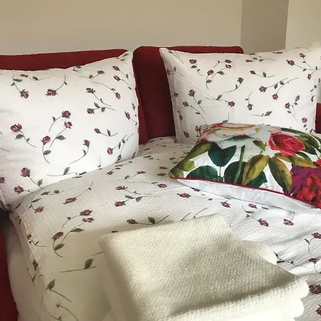 Zentrum Bad Schandau